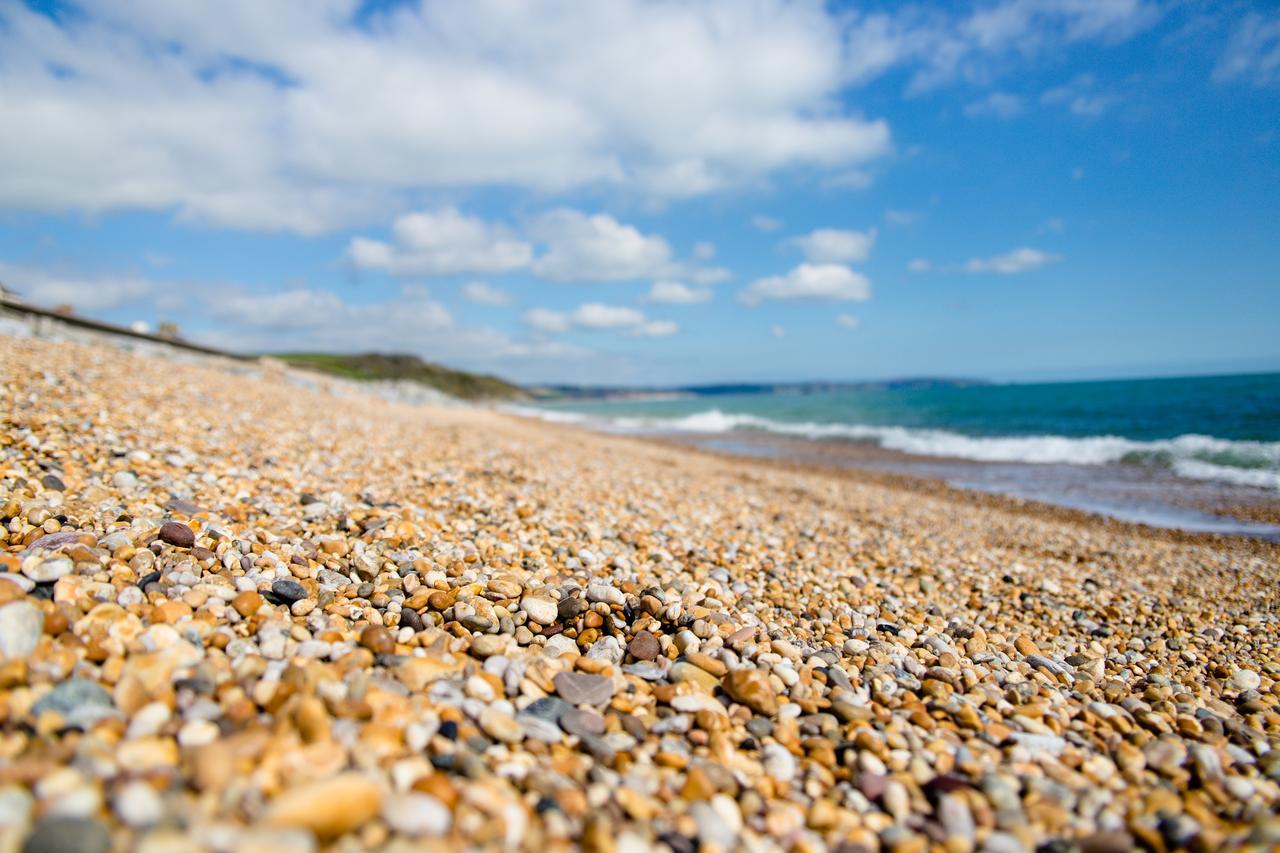 The Cricket Inn Beesands Exteriér fotografie